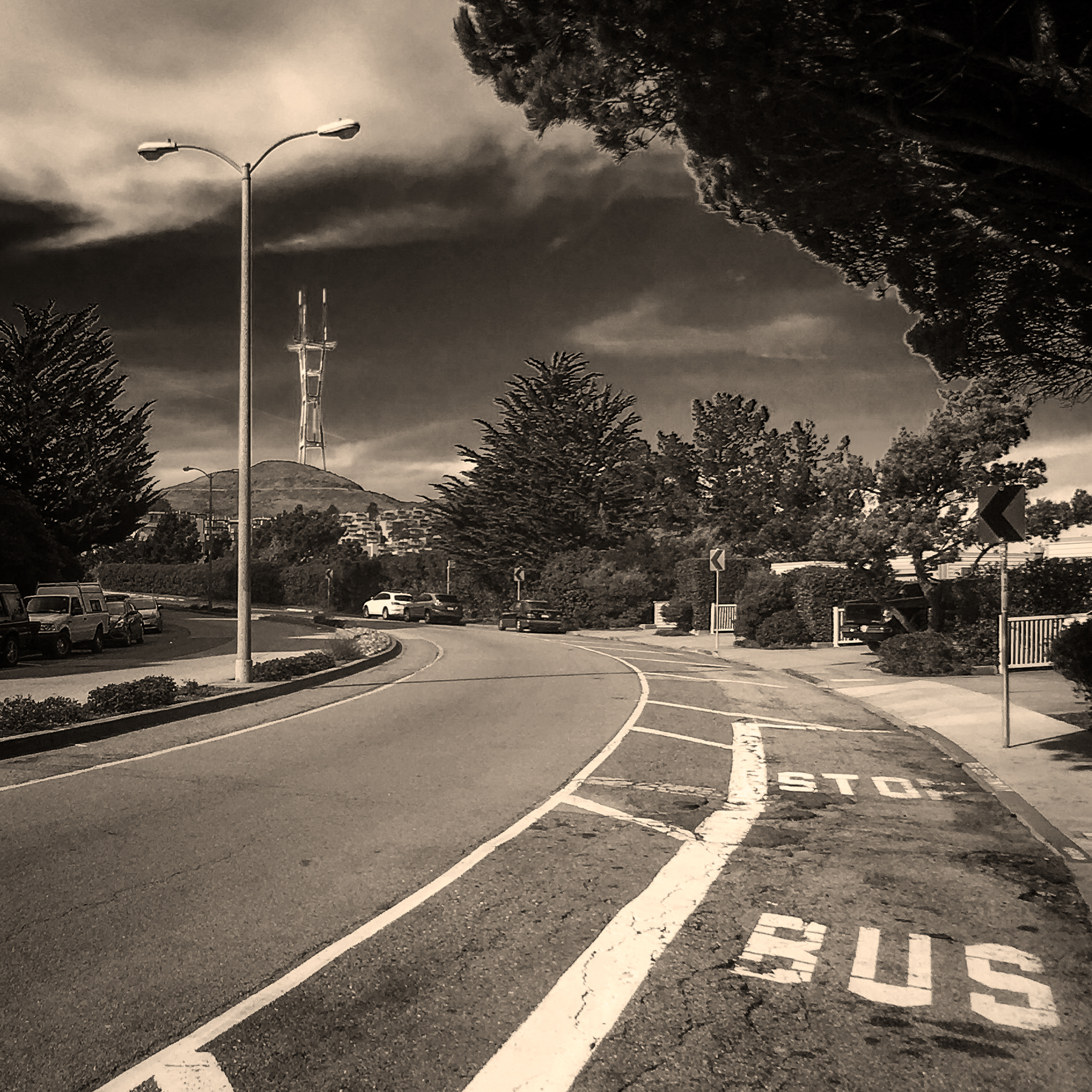 Bus Stop Sutro