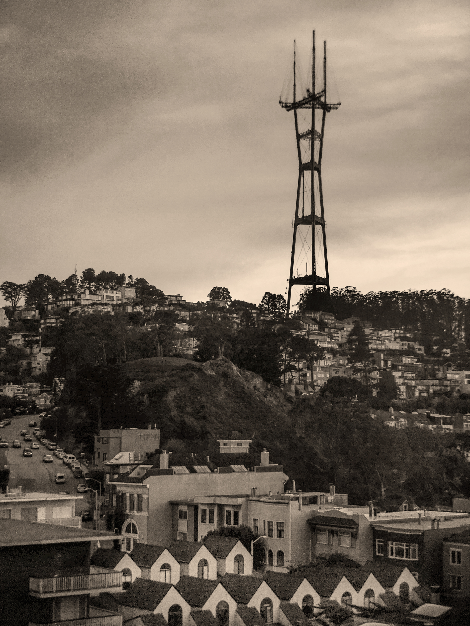 Sutro Pathways #1