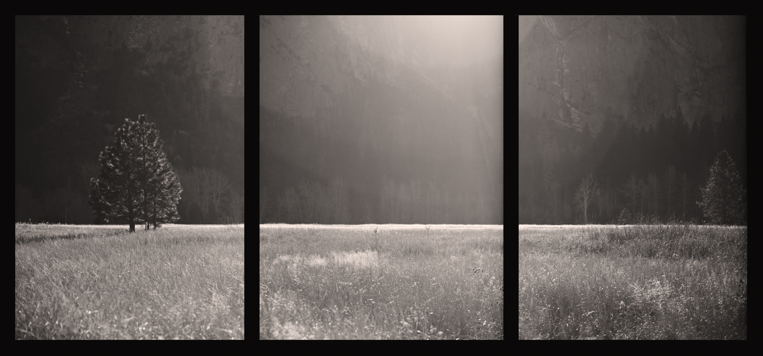 Yosemite Morning Meadow Triptych