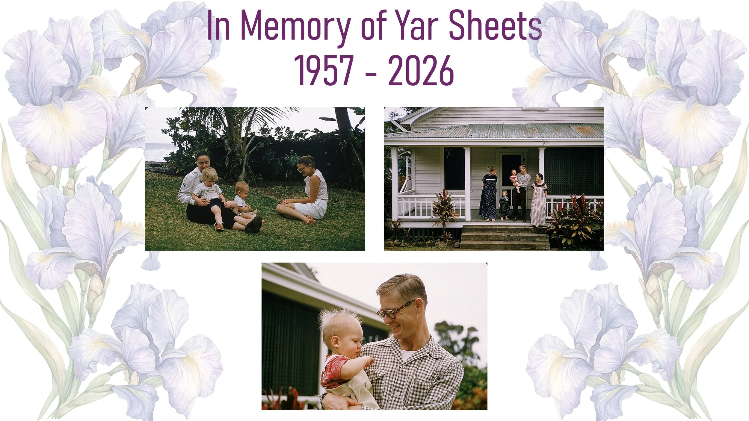 yar02.JPG