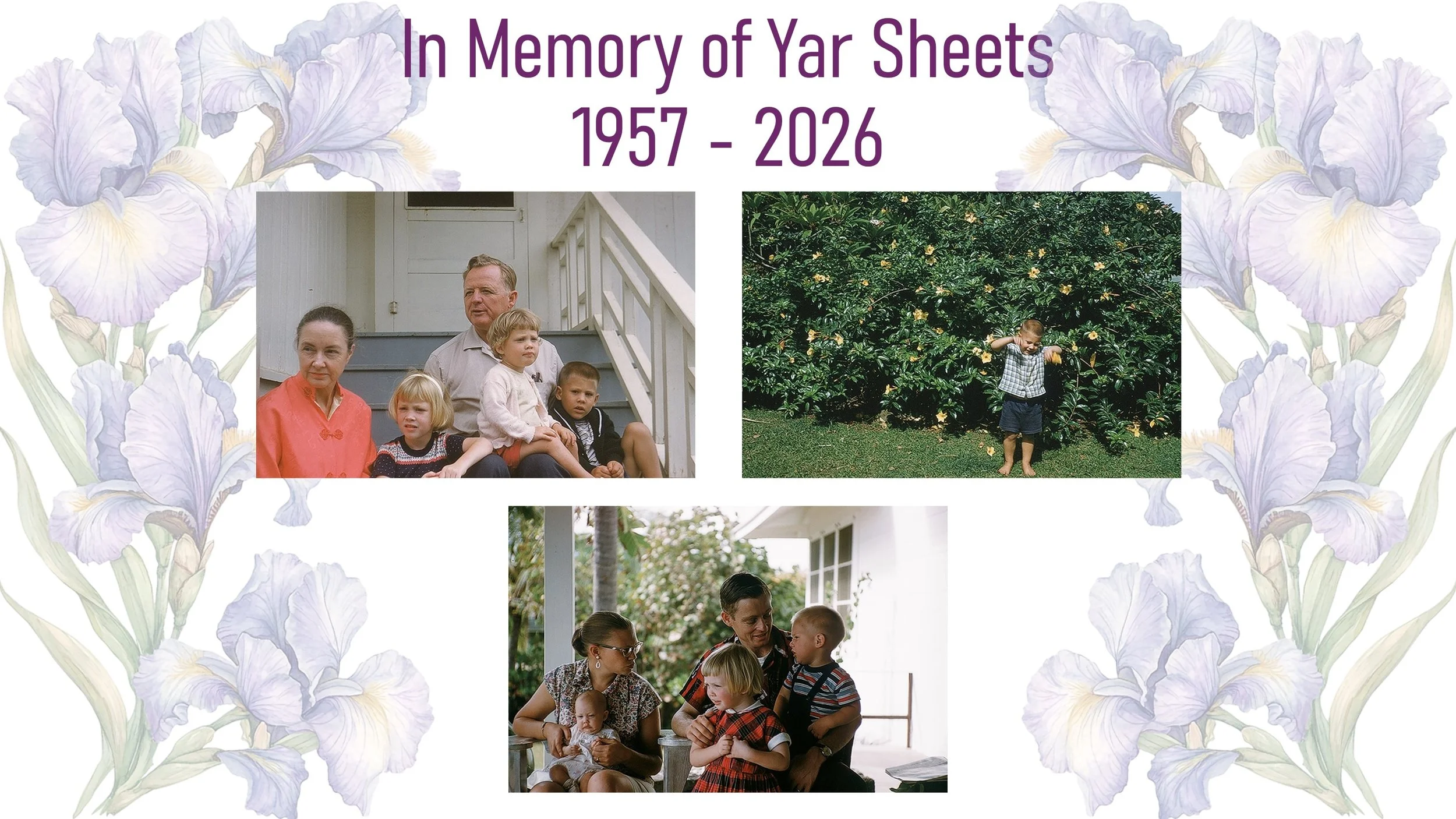 yar04.JPG