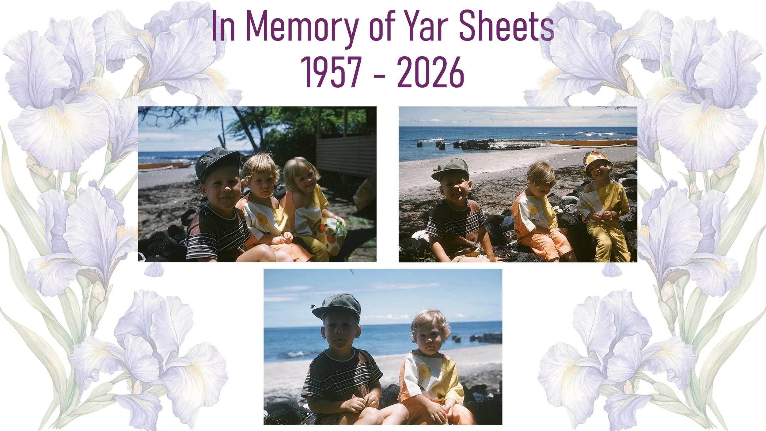 yar06.JPG