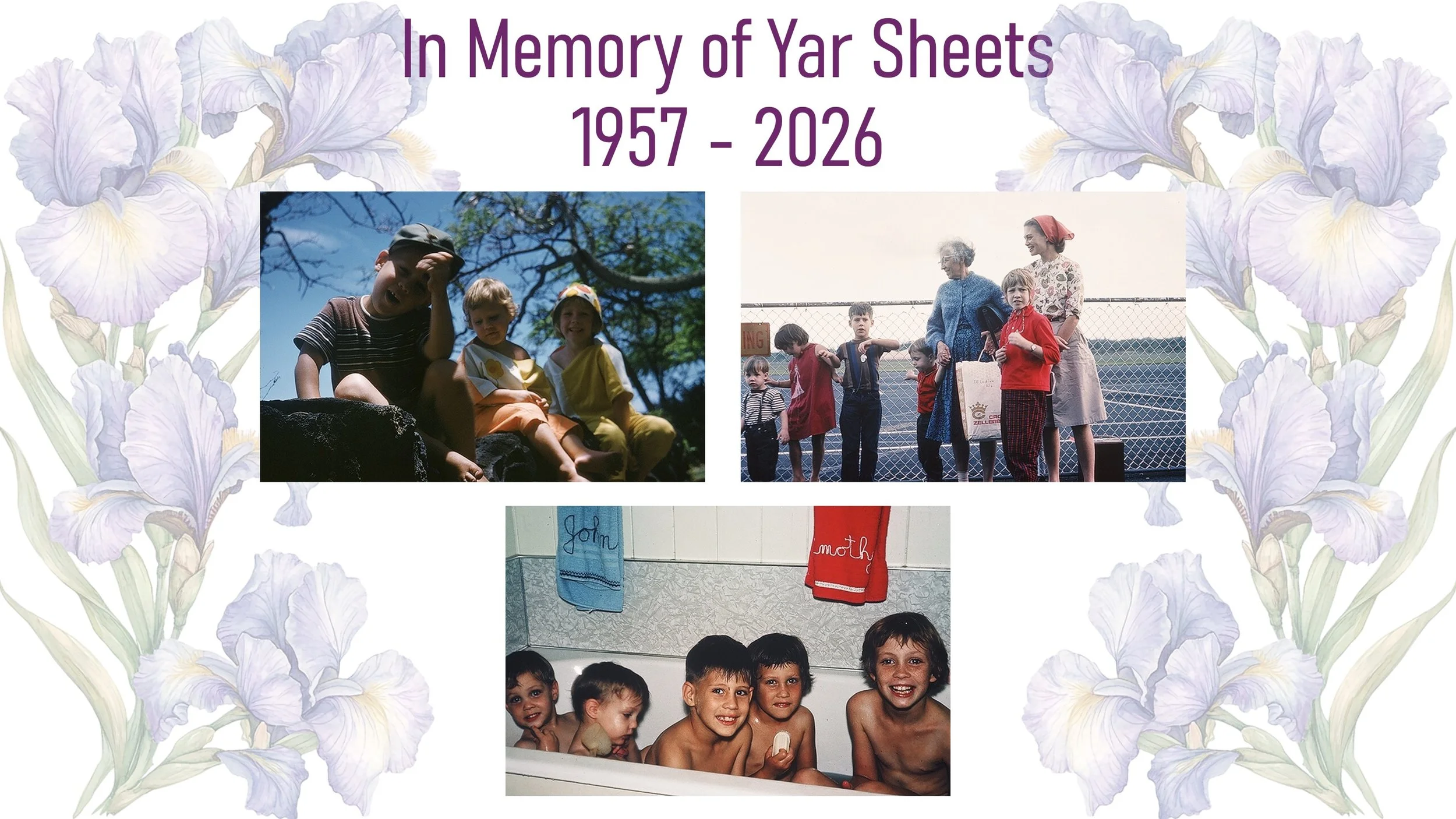 yar08.JPG