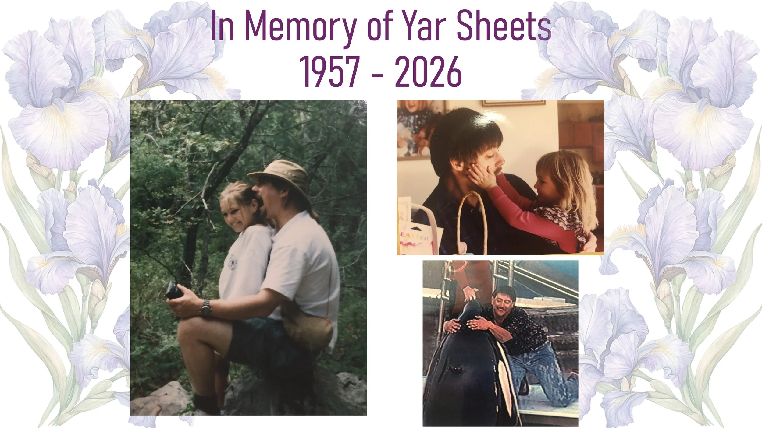 yar17.JPG