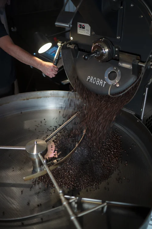 Mongo's Coffee, business photo 2