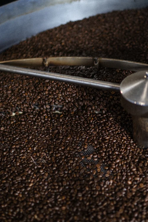 Mongo's Coffee, business photo 5