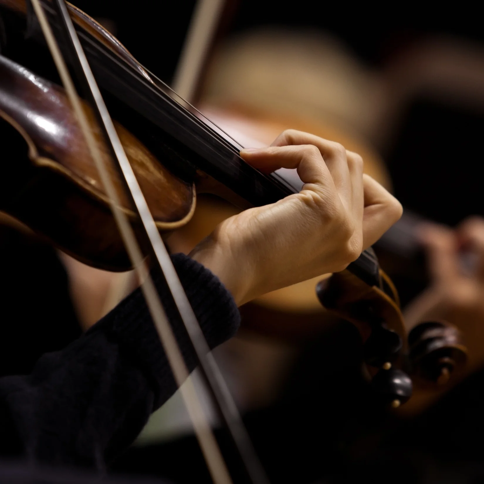 AdobeStock_93886204.jpg