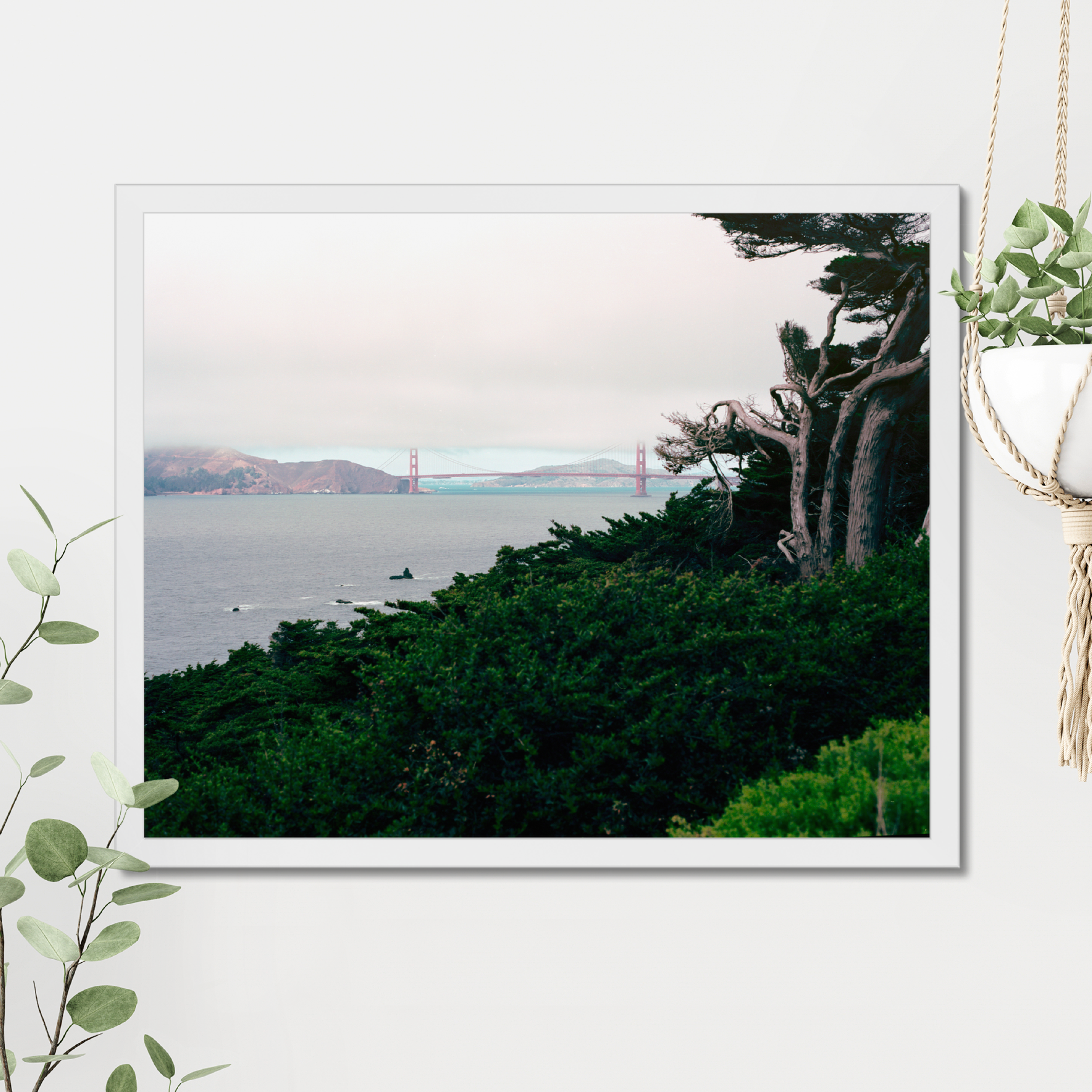 prodigi-global-cfp-20x16-white-frame (5).png