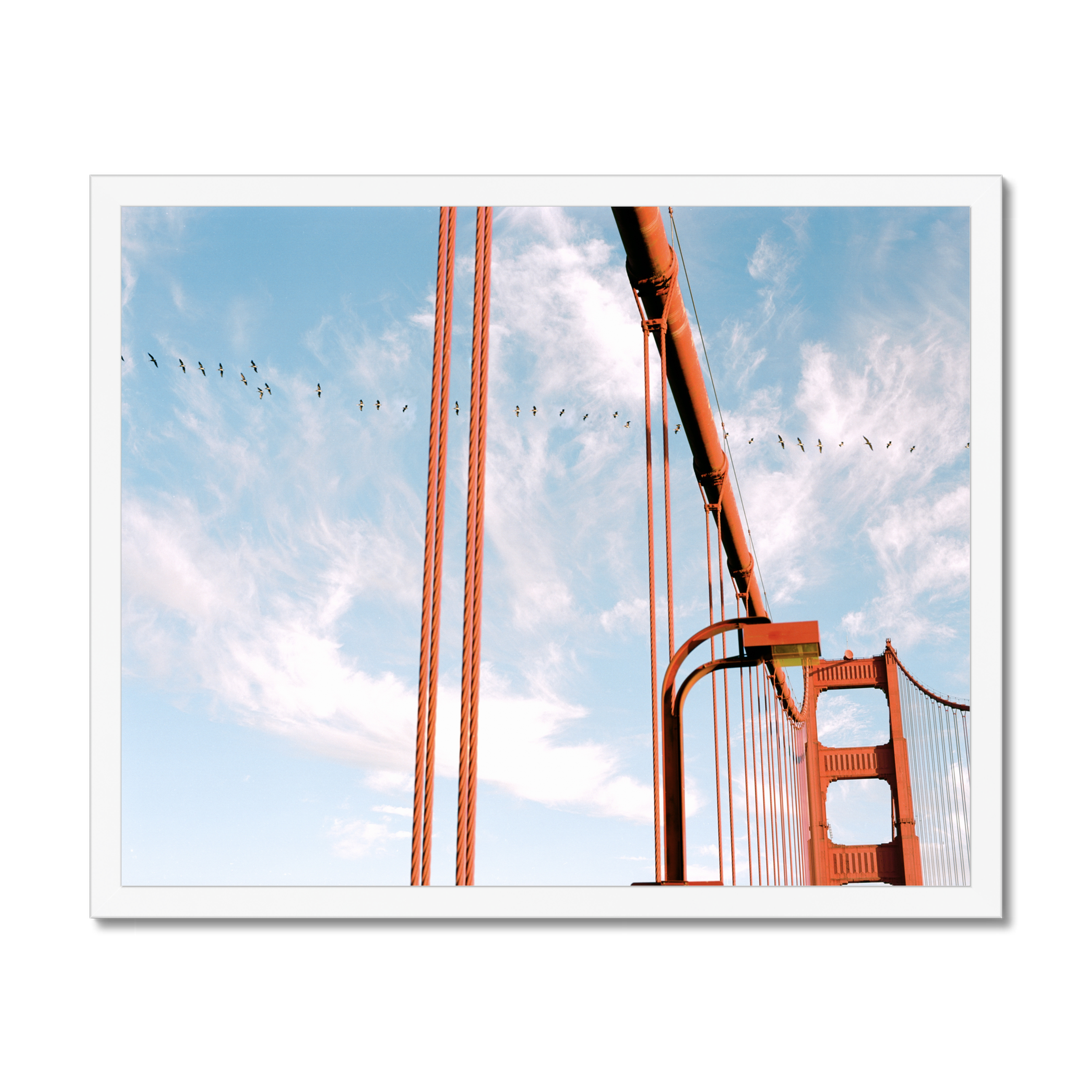 prodigi-global-cfp-20x16-white-frame (7).png