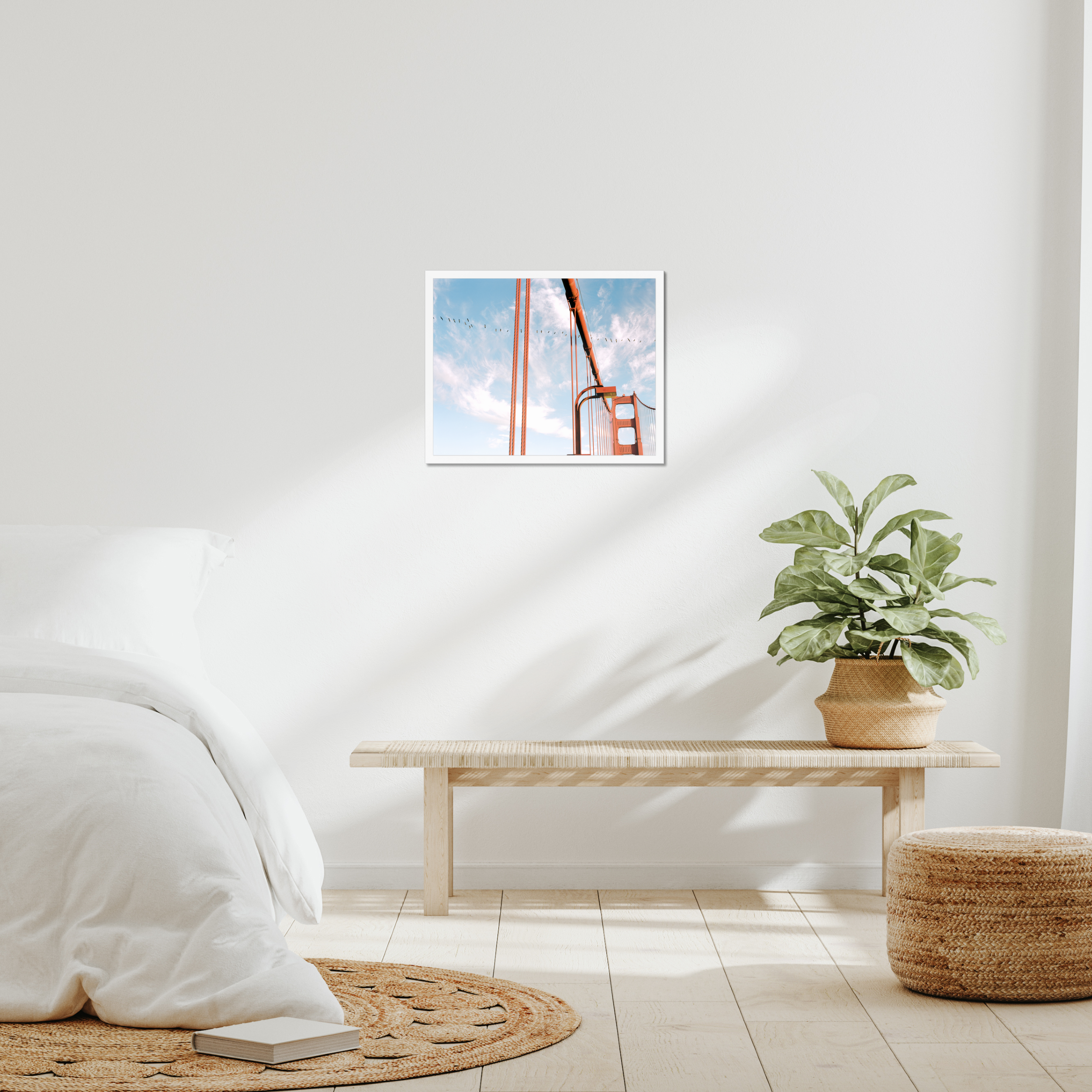 prodigi-global-cfp-20x16-white-frame (8).png