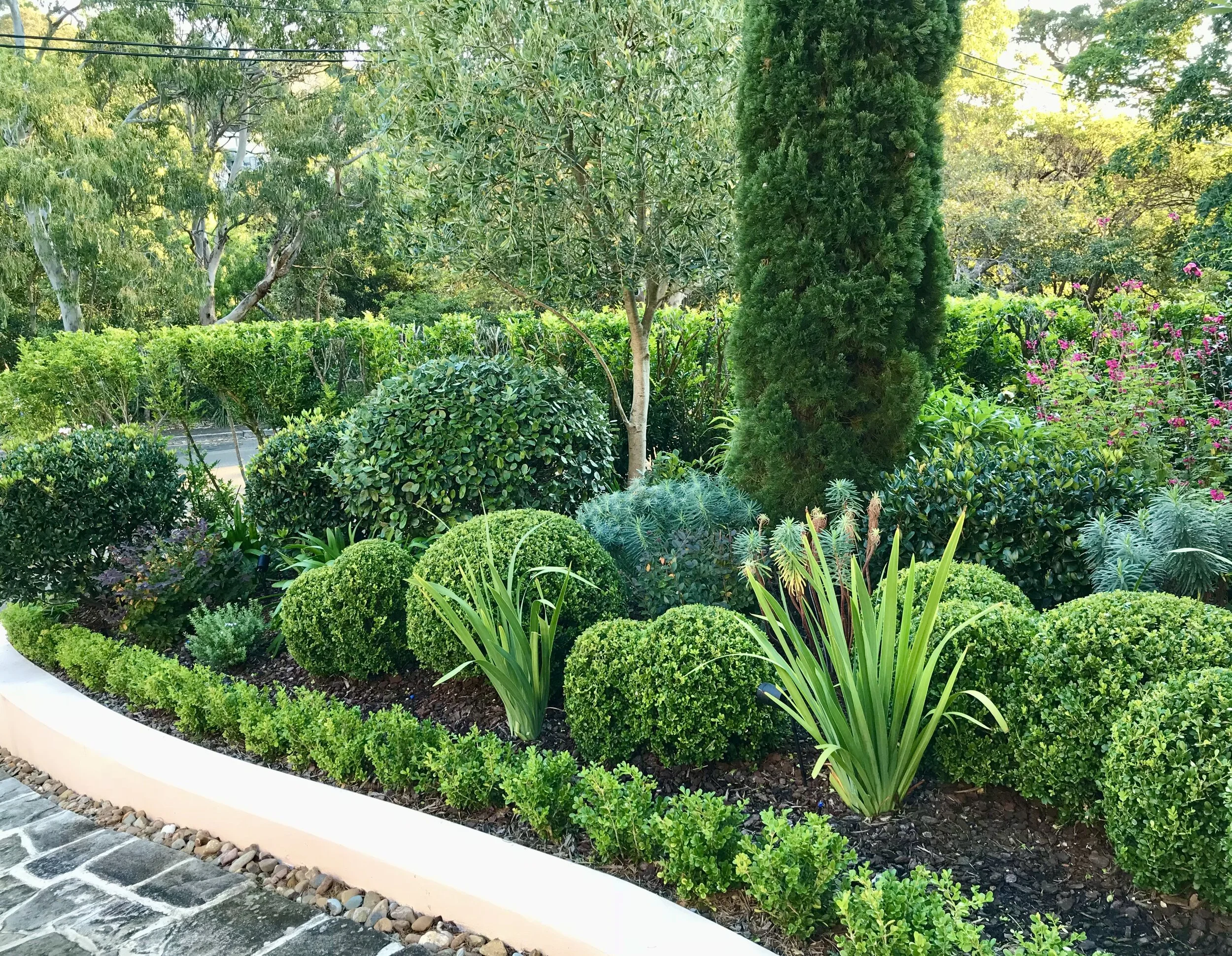 south house garden