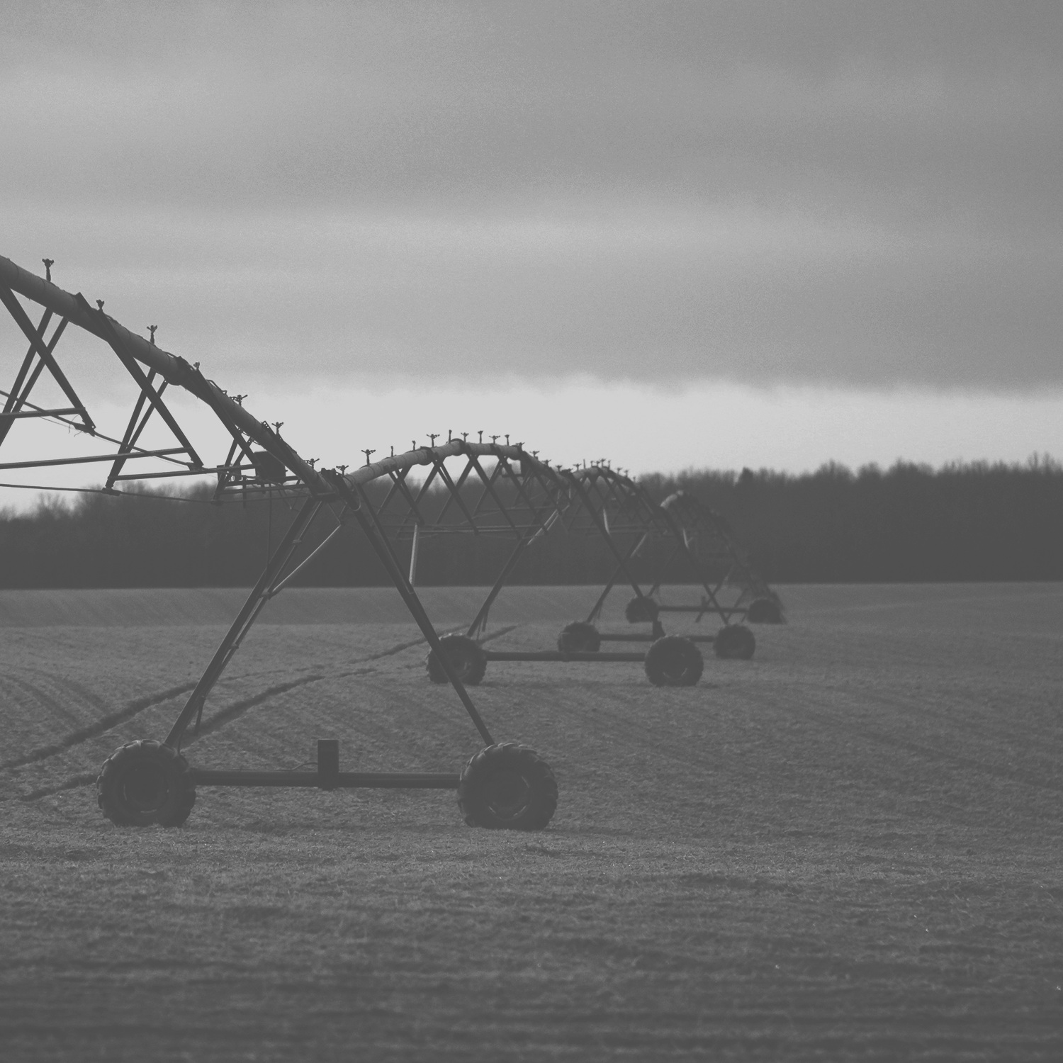 er-farming.jpg