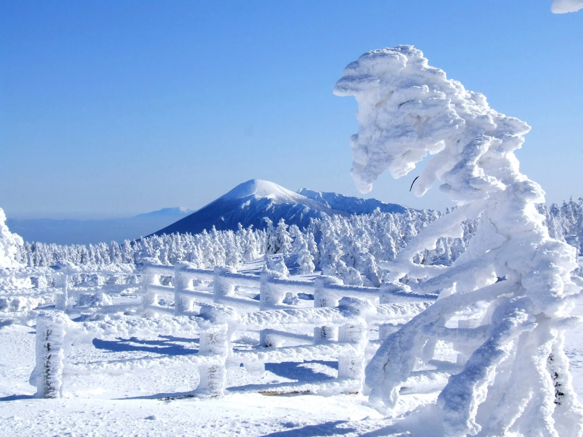 Frozen snow monster untouched while Mount Hachimantai looms over near Appi Kogen Resort