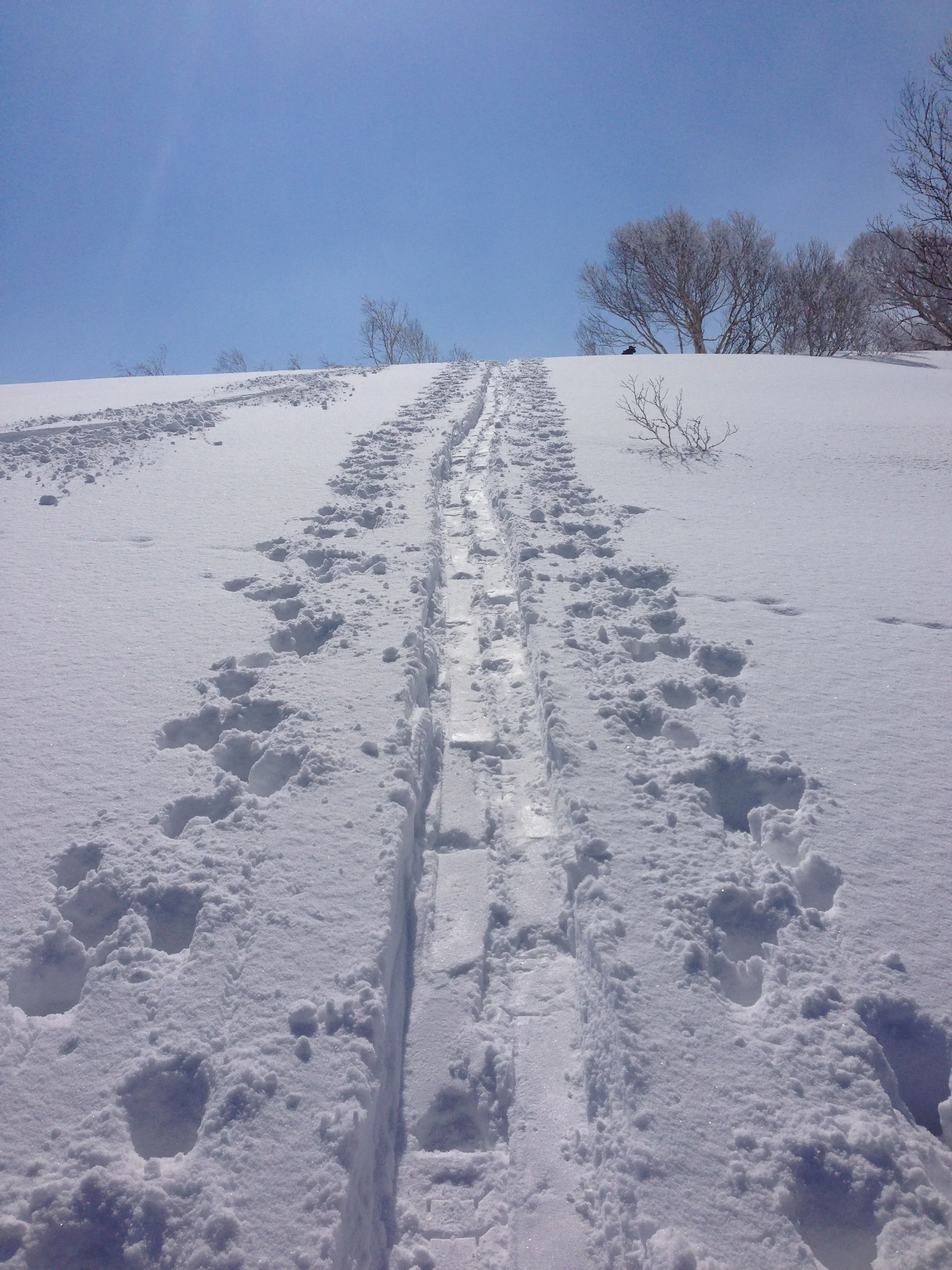 Summer 2019 and Winter 2019/20 | Niseko | Activities