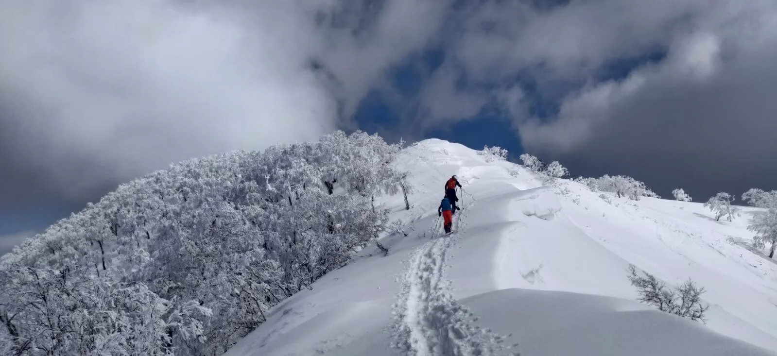 Winter 2020/21 The Covid Edition.