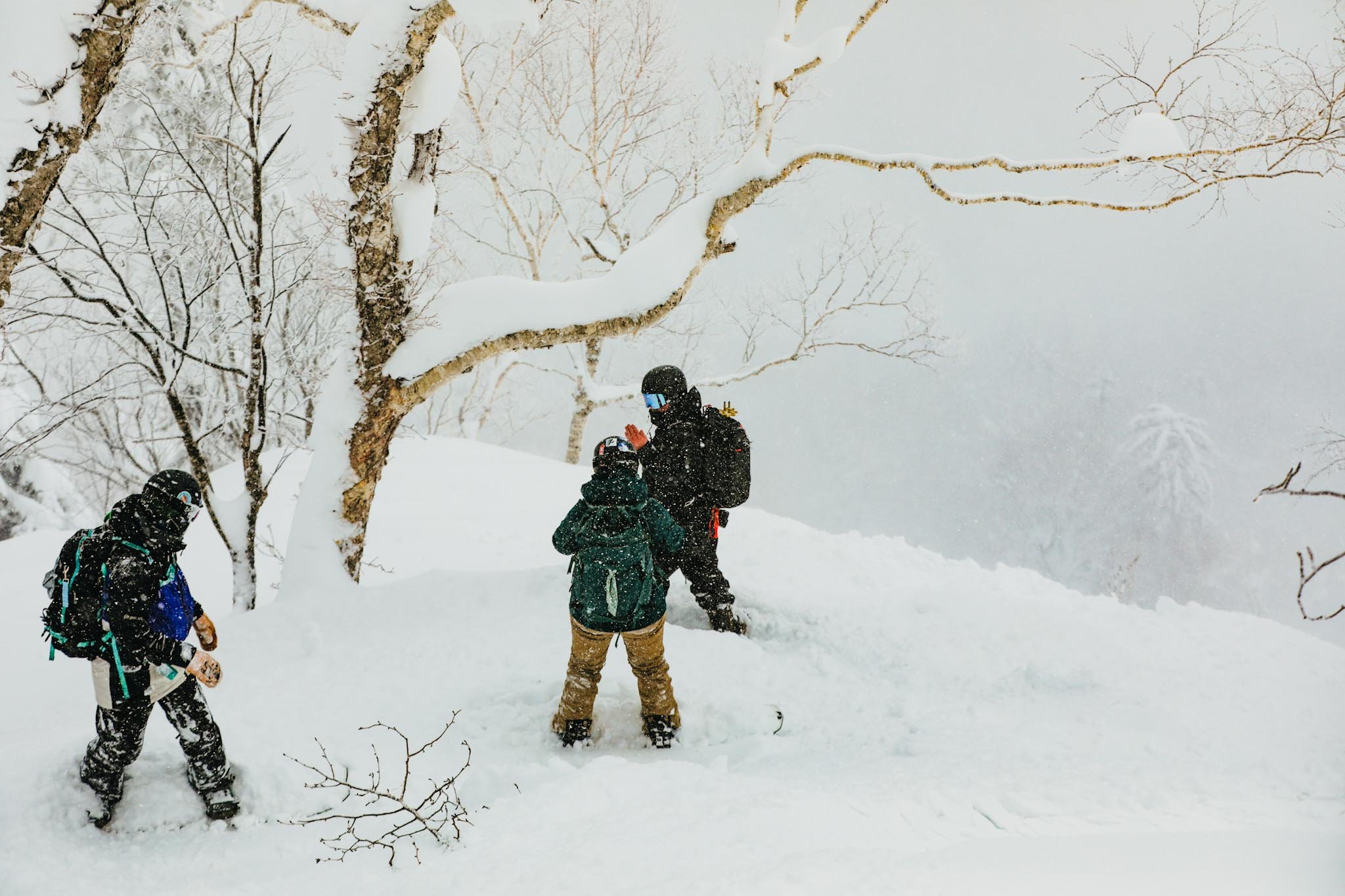 Photo 12-02-2026, 2 34 37 am.jpg