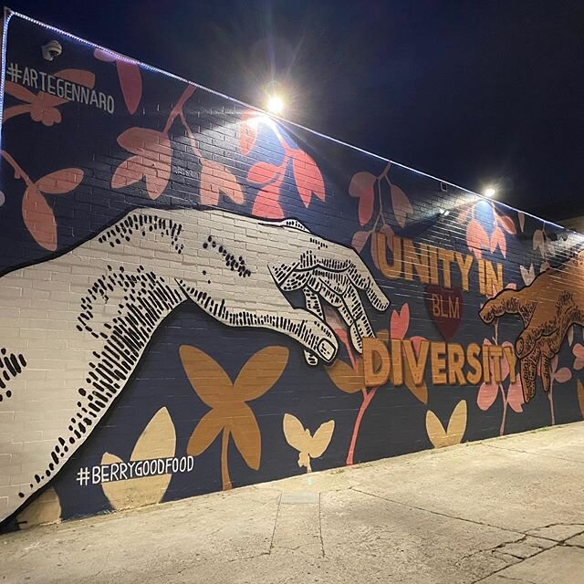 UNITY IN DIVERSITY LA JOLLA CA. 
Thank you @michelleciccarelli @chefflorfranco @torreydawn @dessakirk honored to work with you guys on this mural.