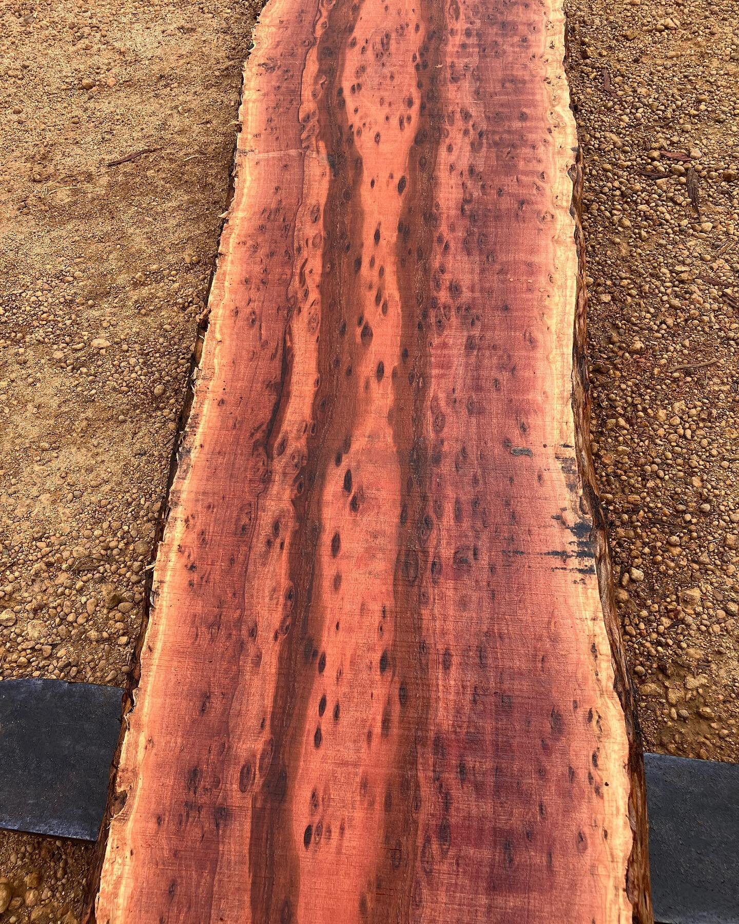 Birdseye Jarrah. Probably the best one I&rsquo;ve ever milled. This slab is 75mm thick and about 350 wide. 3.6 long. Green sawn. And bonza. Enjoy. 

#birdseyemaple #jarrah #jarrahslabs #perth #bunbury #donnybrook #aussie #aussiewoodworker