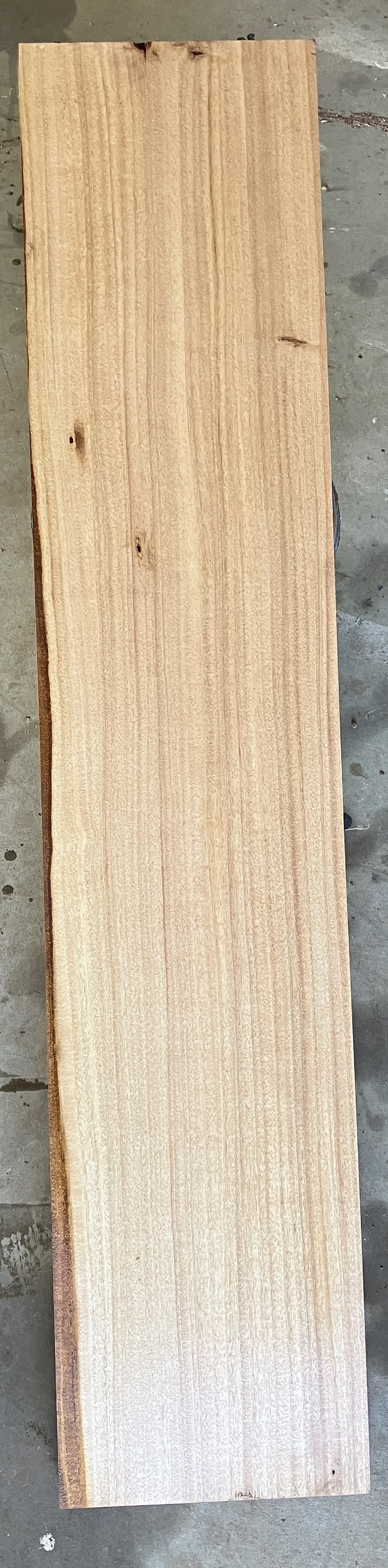 WA Blackbutt solid tread