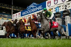 woodbine.jpg