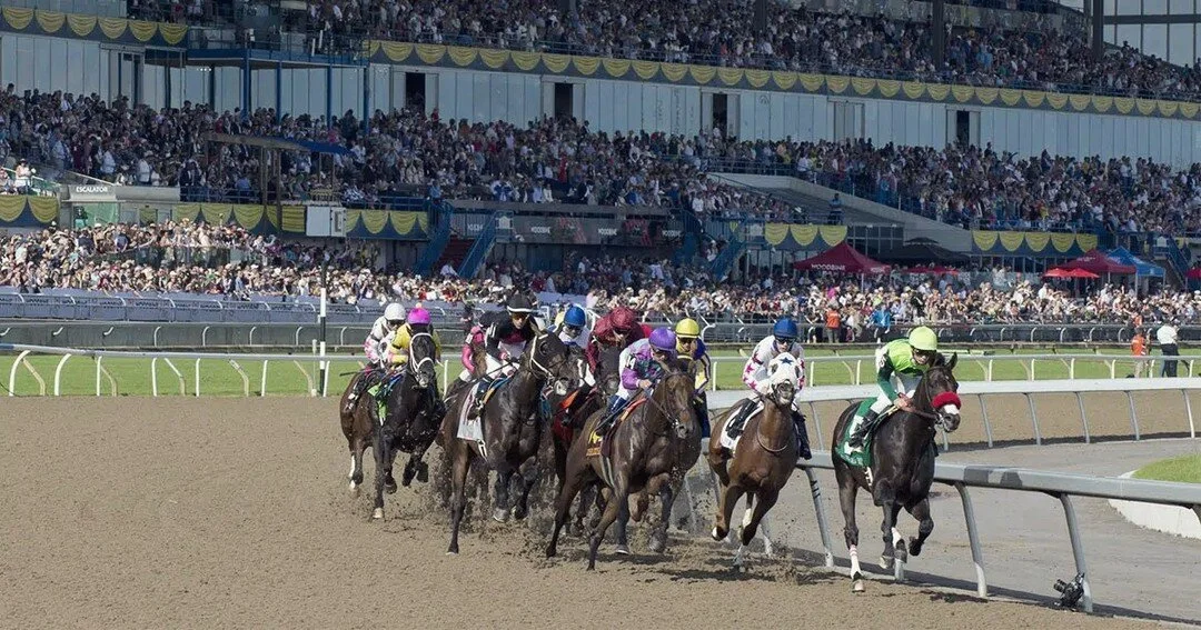 Yay!🥳 Woodbine race track is re-opening on Apr 16th! Sign up HPIbet and wager online.
-
Don't forget Hastings Racecourse Vancouver is re-opening soon too!🐎
(Michael Burns Photo)