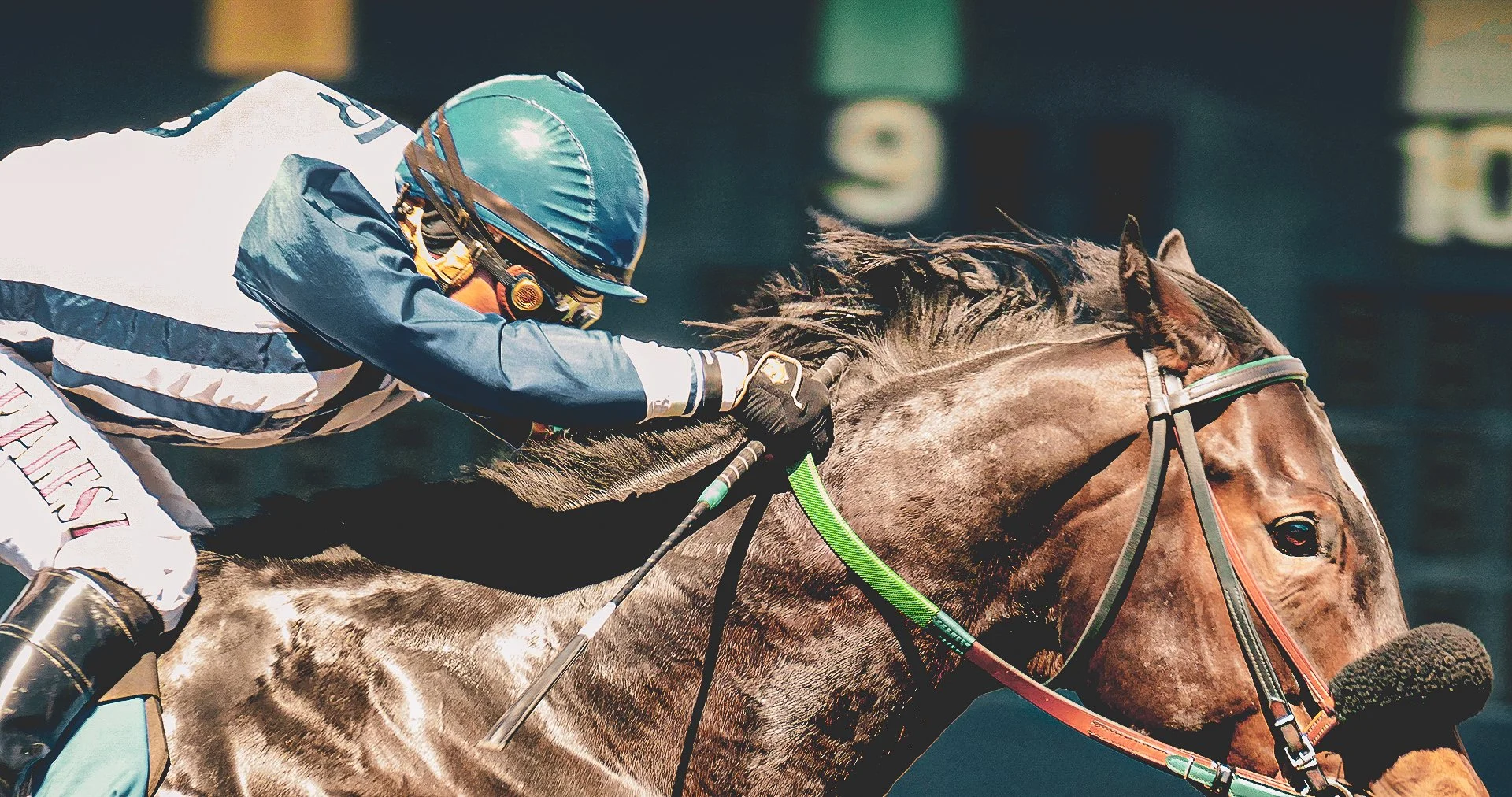 May 21, 2022, 3rd Race, BOLD ARCH winner, S Morales Up...photo Michael Bye.jpg