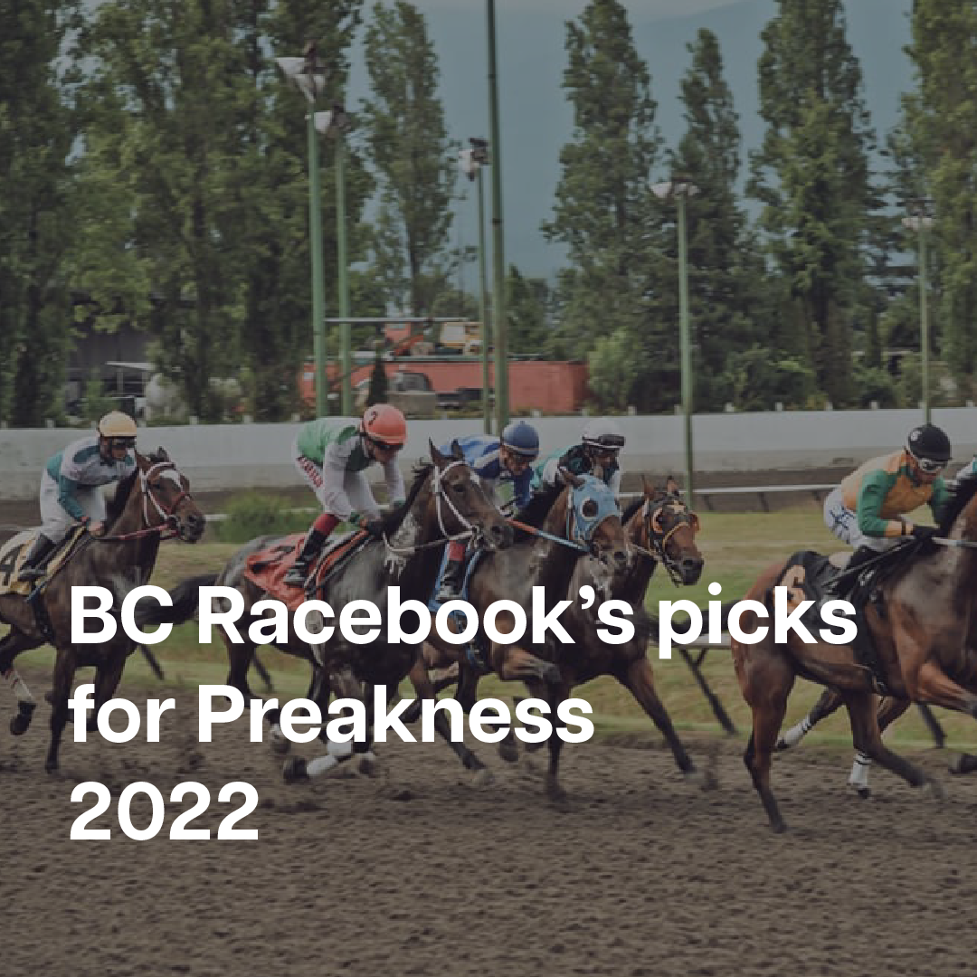 The Preakness, which horse should I bet on?