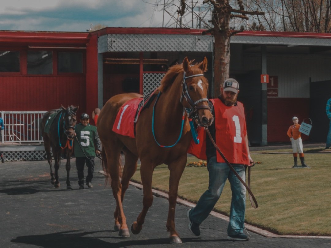 Racing at Hastings Racecourse Cancelled - September 11, 2022
