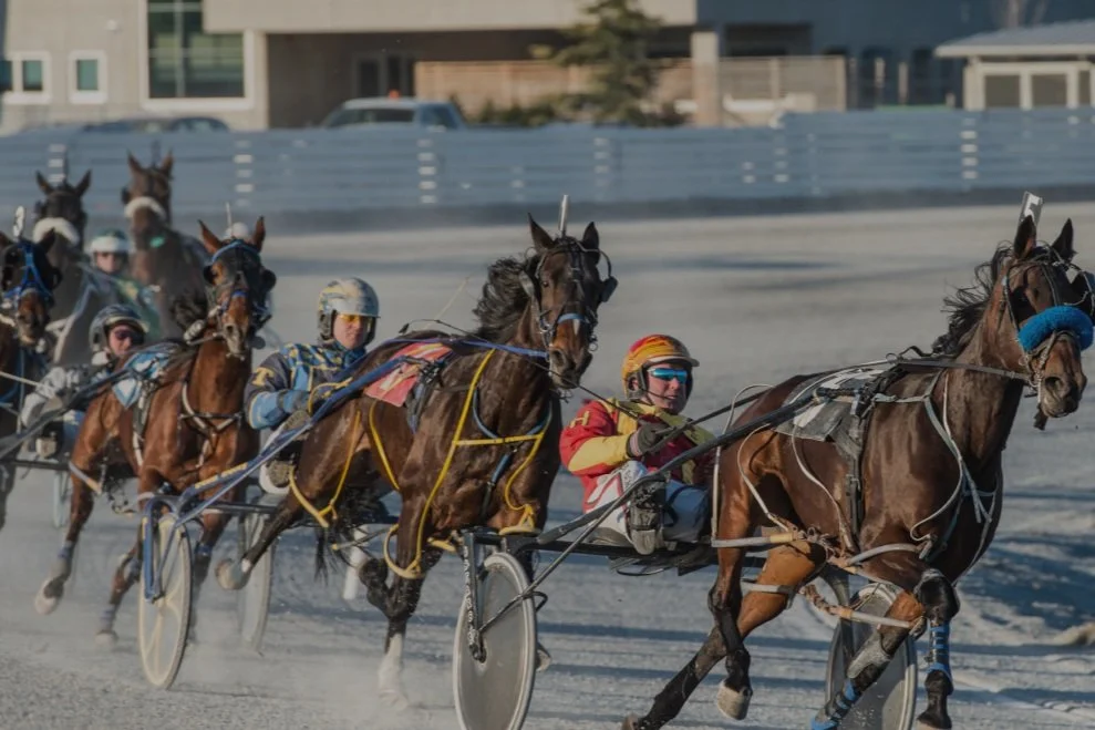 Dec 5th Racing at Fraser Downs cancelled