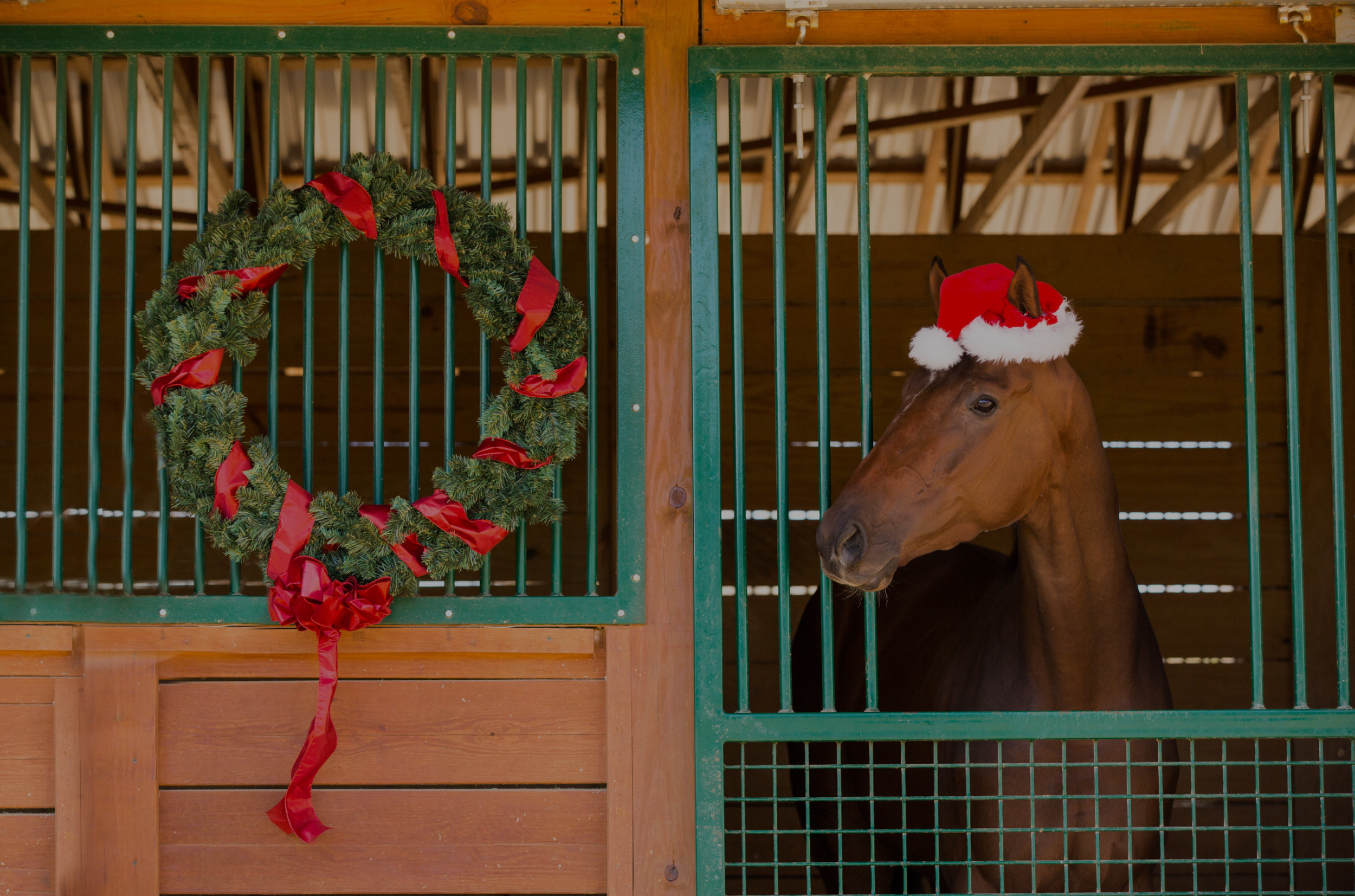 Handicapping Contest Returns to Fraser Downs