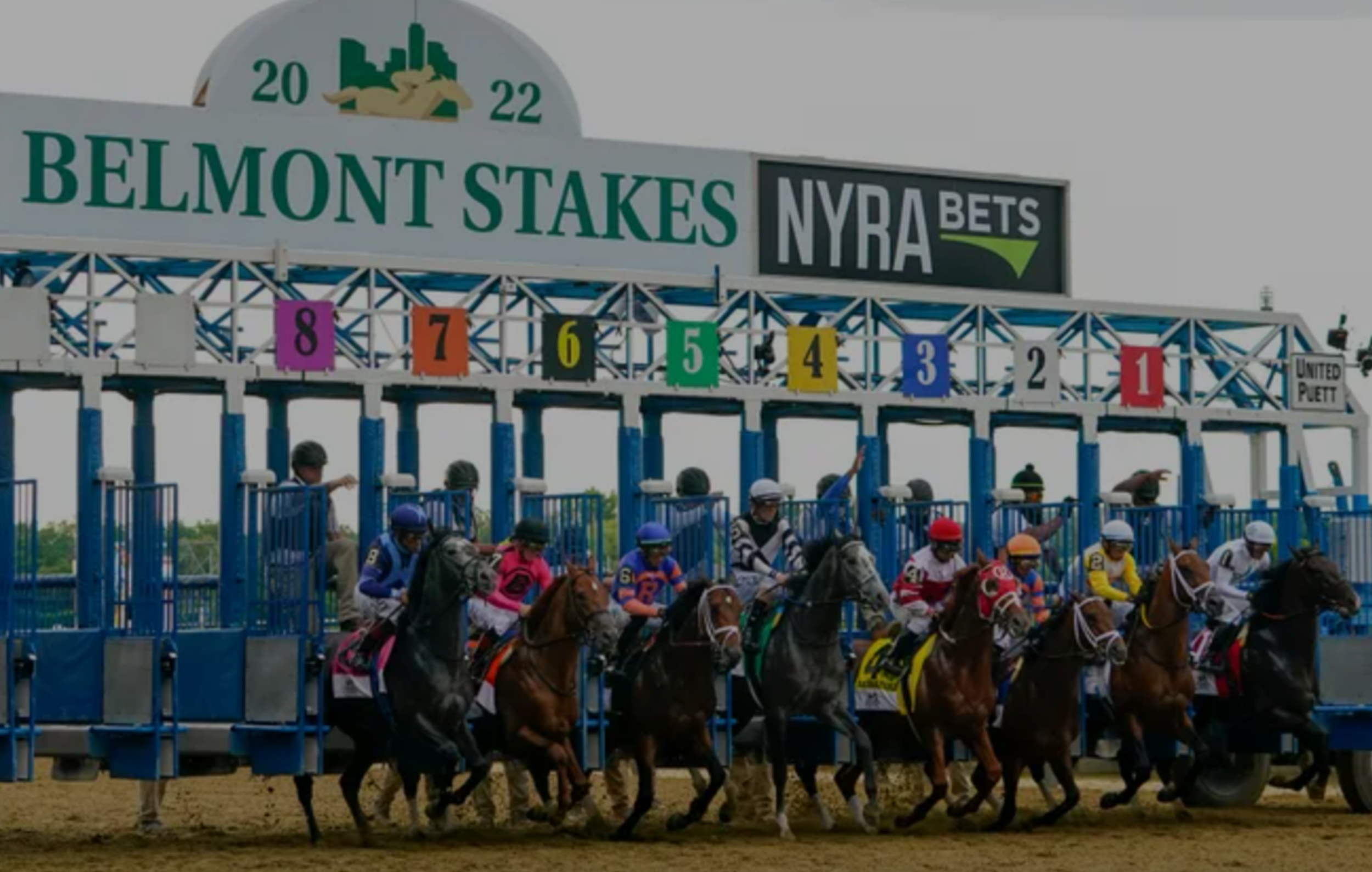 BC Racebook's Picks for the Belmont Stakes 2022