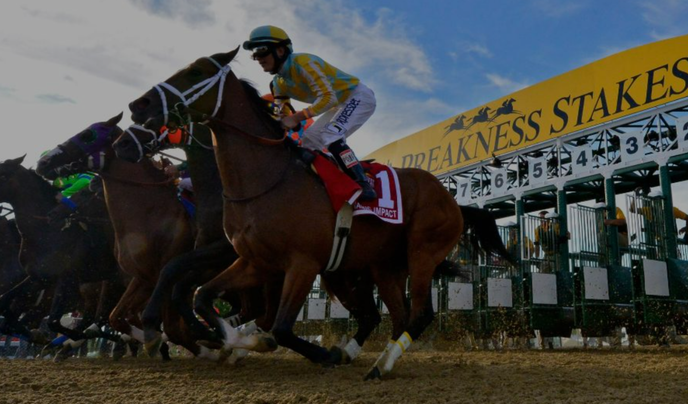 Wager on Preakness at Hastings Racecourse