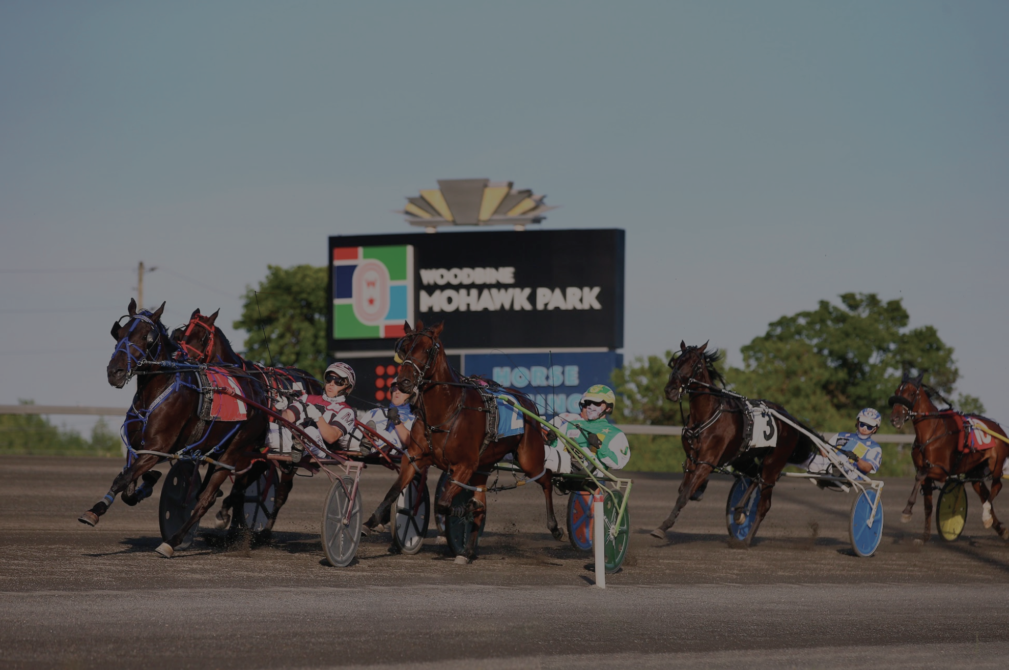 Standardbred Handicapping Contest - Woodbine Mohawk
