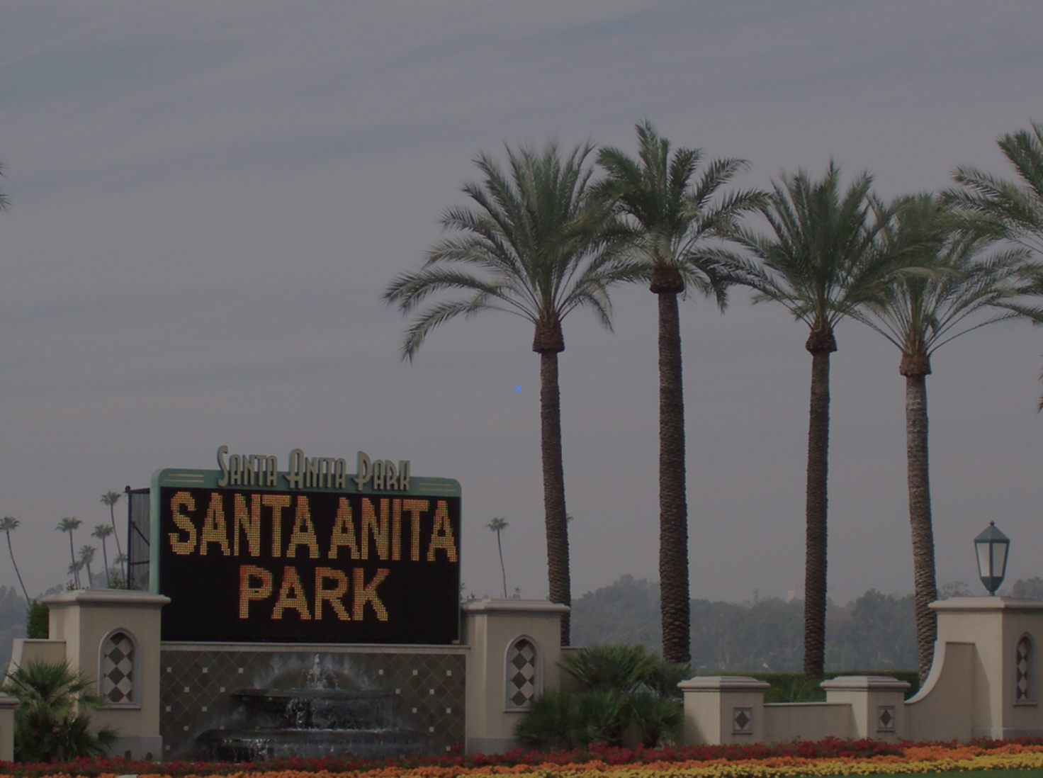 Thoroughbred Handicapping Contest 