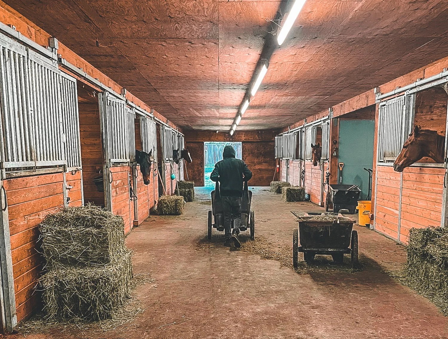 BC Racebook Newsletter - January 17, 2023