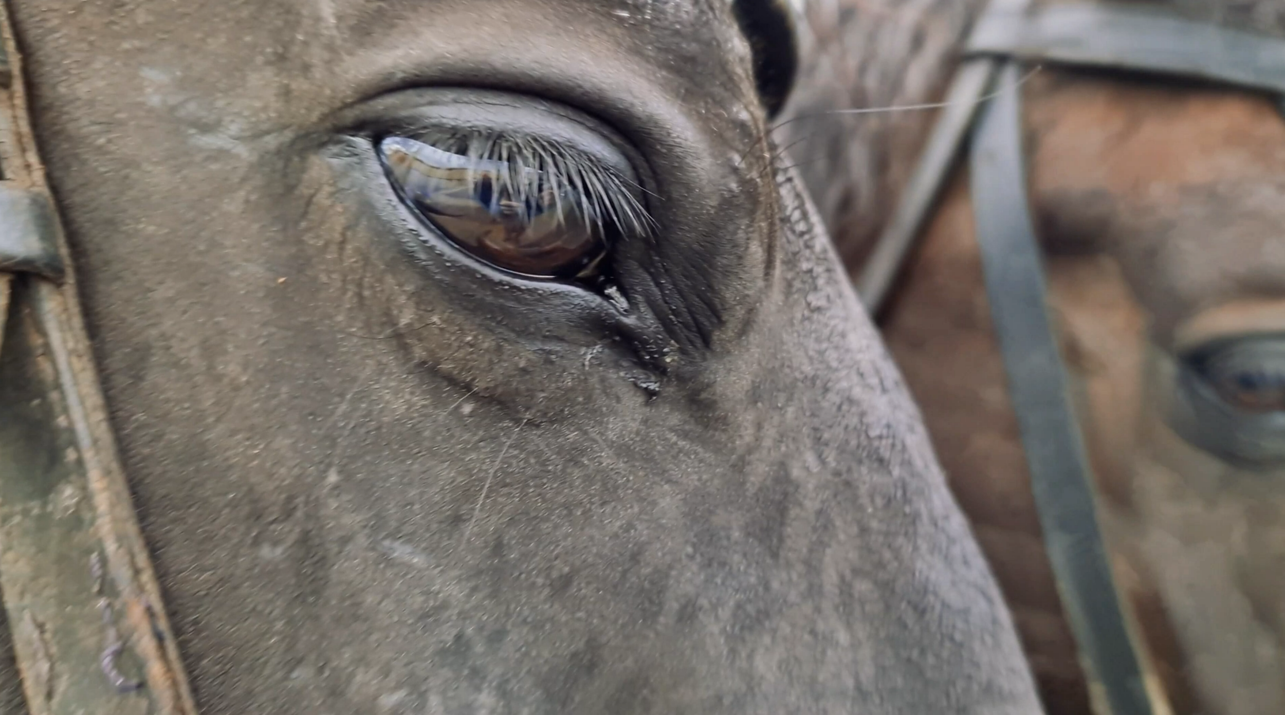 Check Out Our New Video!