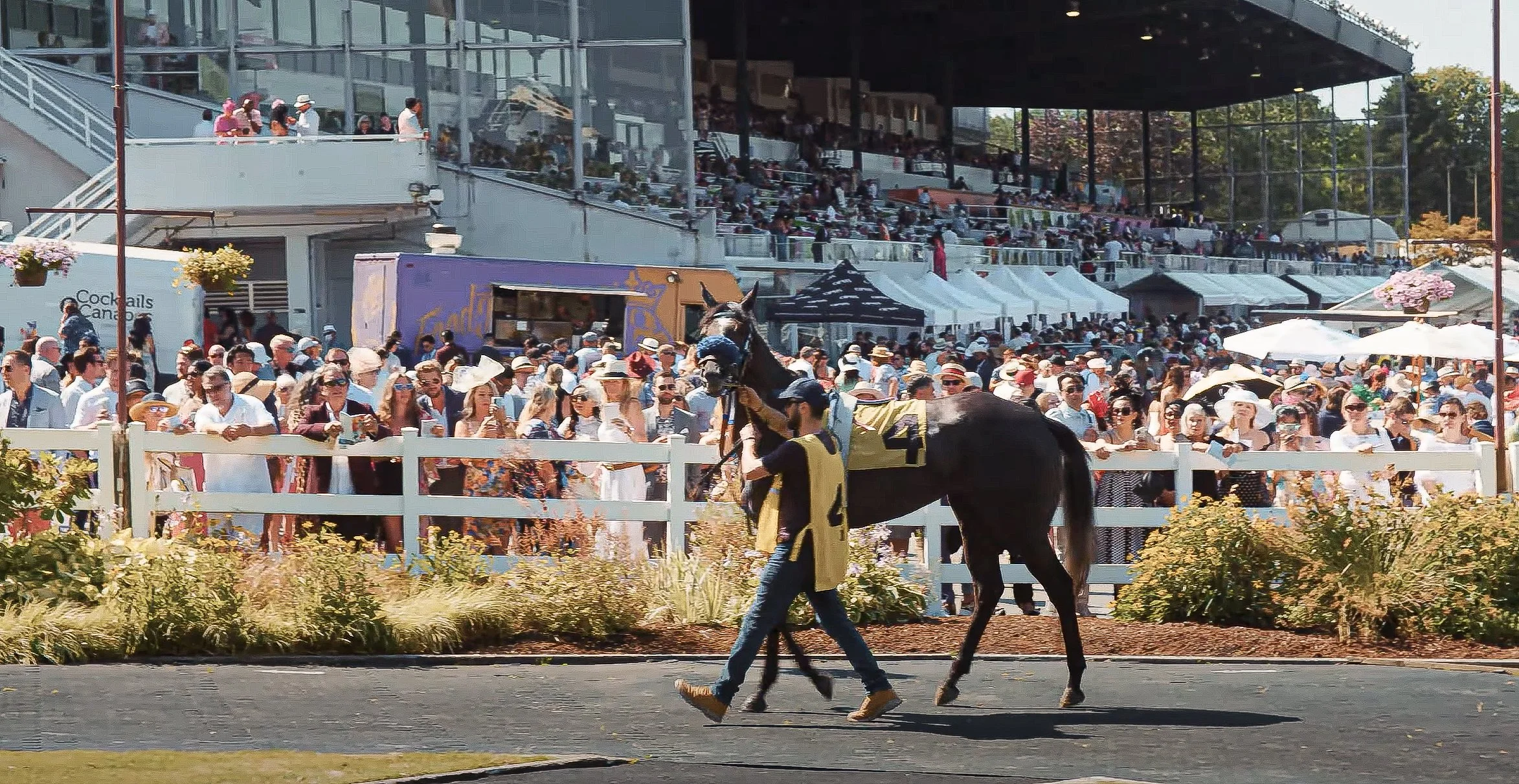 Hastings Racecourse Opens on April 30, 2023