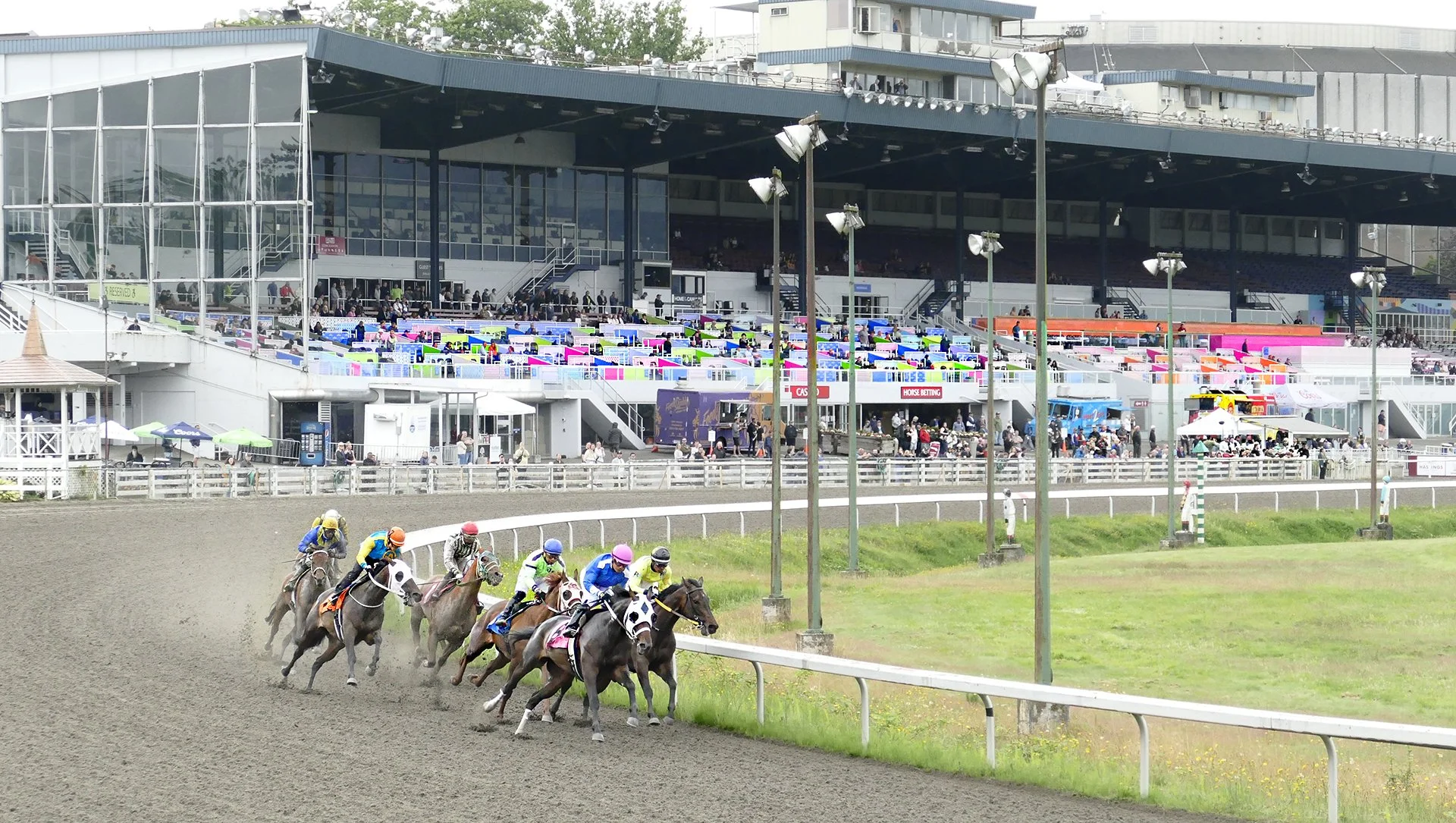 $1.75 M in stakes race purses up for grabs as 2023 Hastings thoroughbred season launches Sunday, April 30