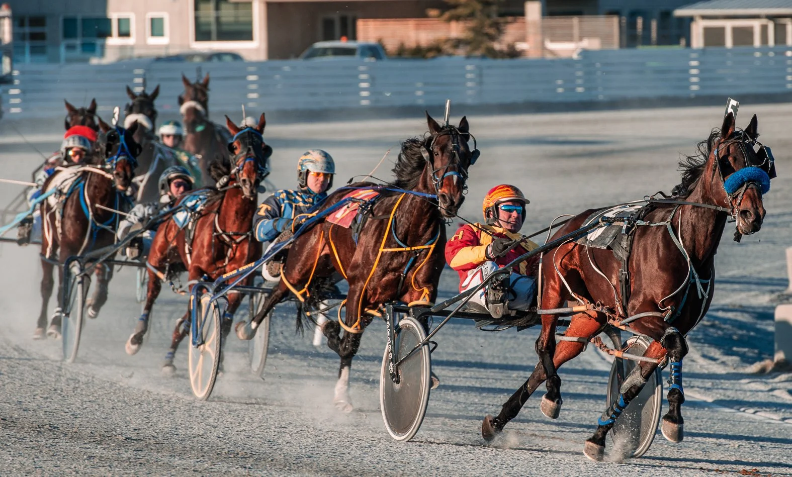 Standardbred Racing at Fraser Downs Continues to Gain Momentum