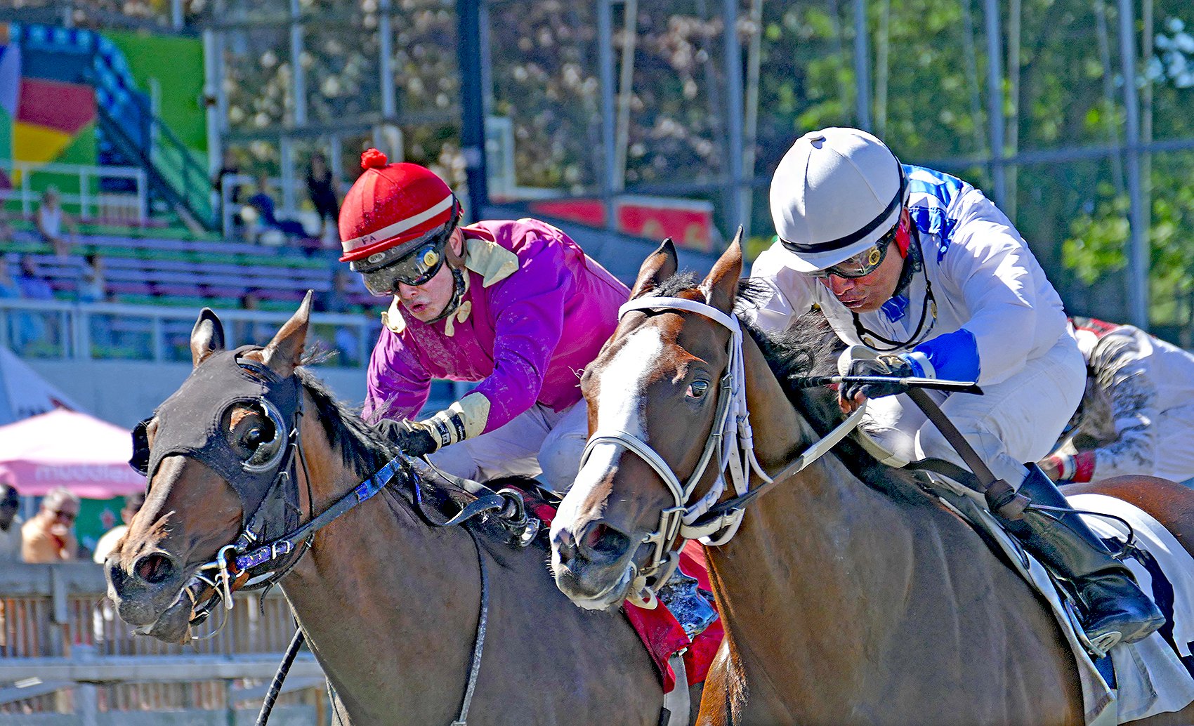 76th British Columbia Derby - Saturday, September 16, 2023