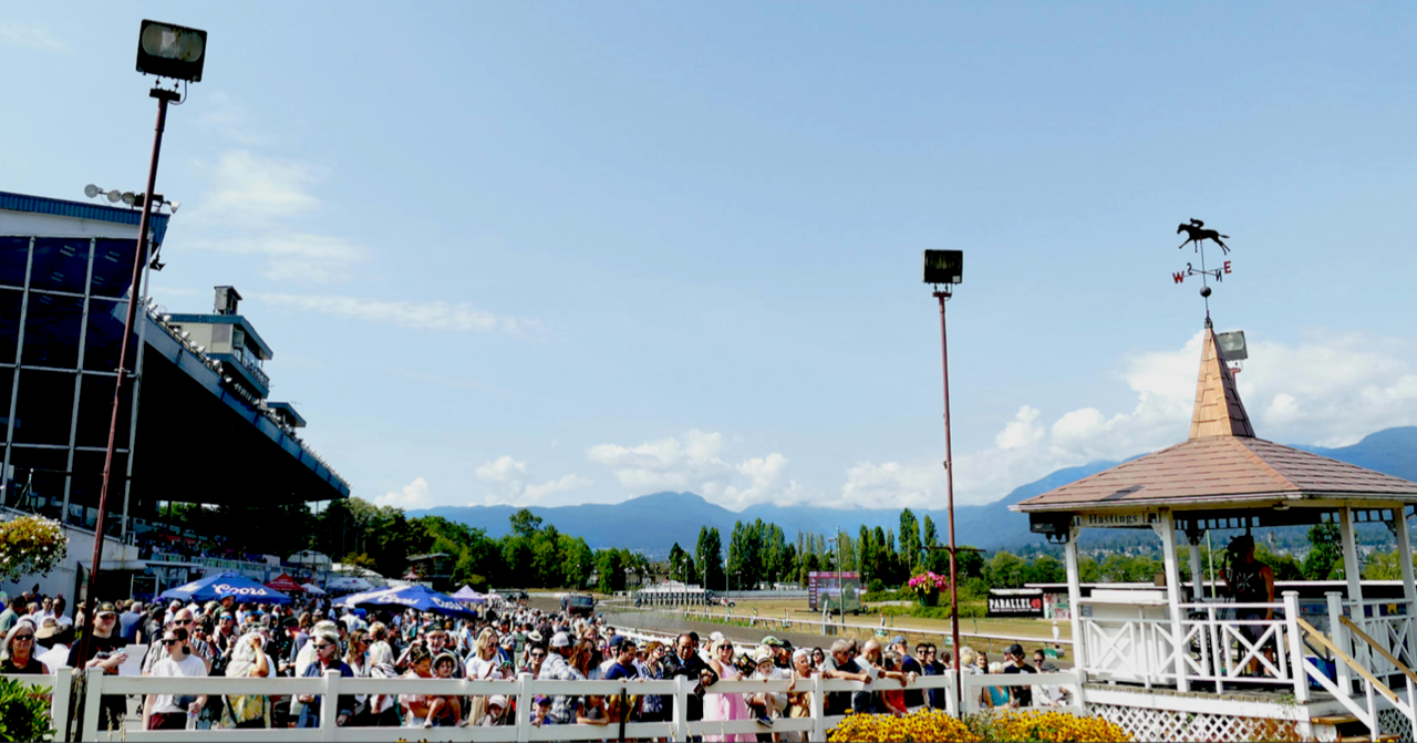 BC DERBY DAY ON TRACK TO DRAW A HUGE CROWD  AT HASTINGS RACECOURSE SATURDAY AFTERNOON