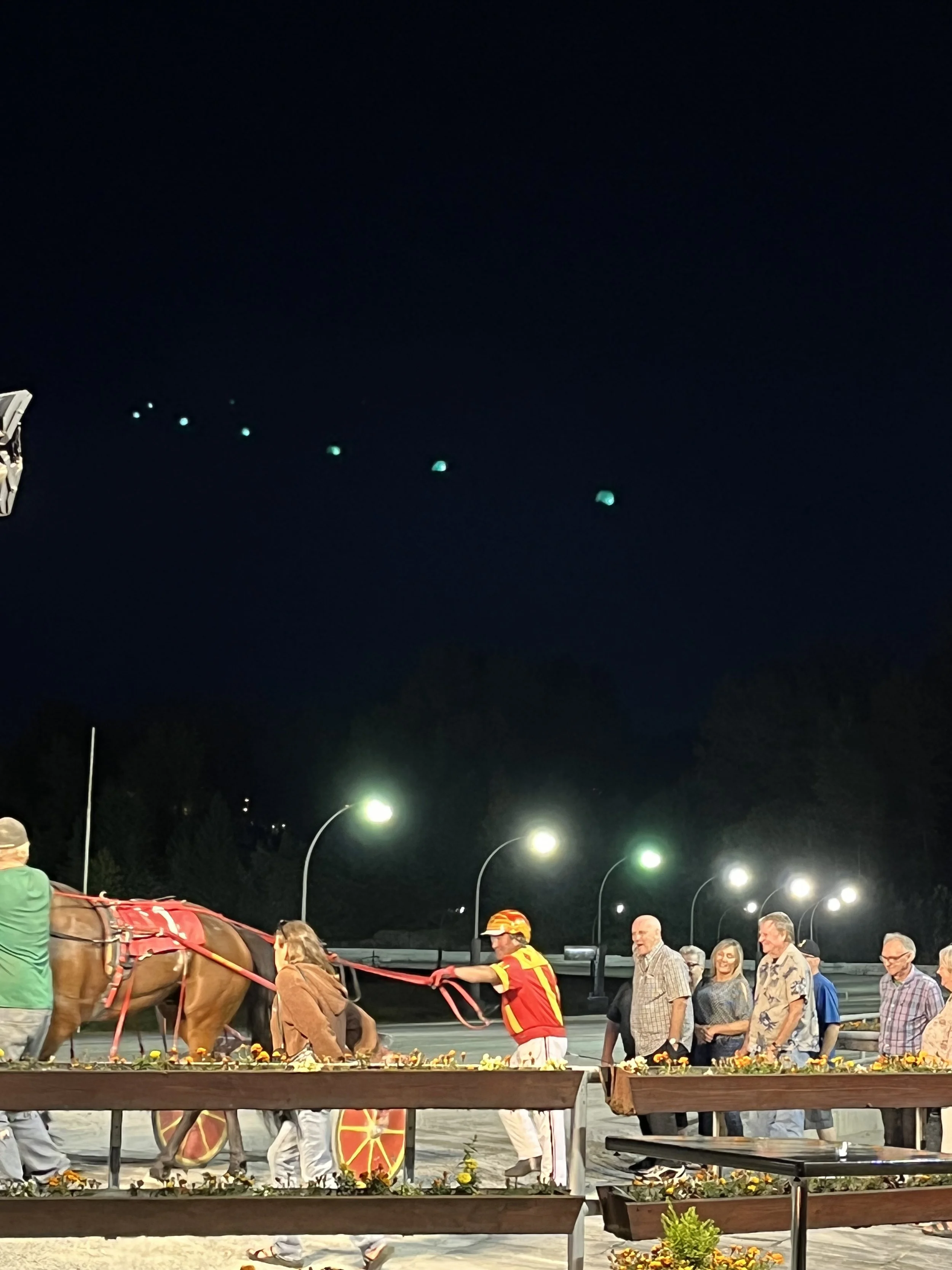 Live Standardbred Racing at Fraser Downs Every Thursday &amp; Friday