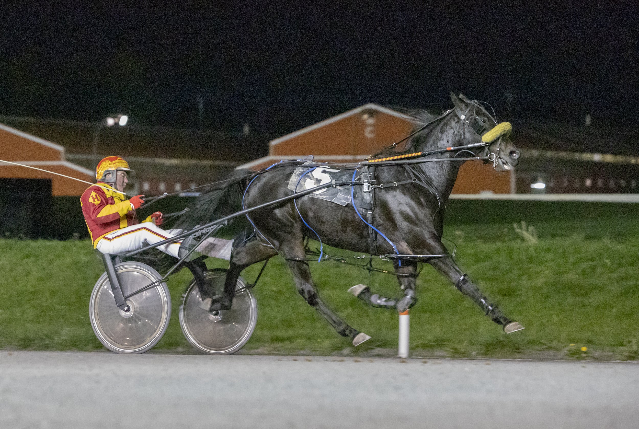 BC Racebook Newsletter - November 8, 2023