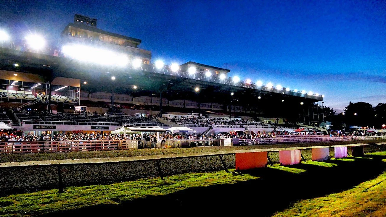 15 FRIDAY NIGHTS UNDER THE LIGHTS AT HASTINGS RACECOURSE