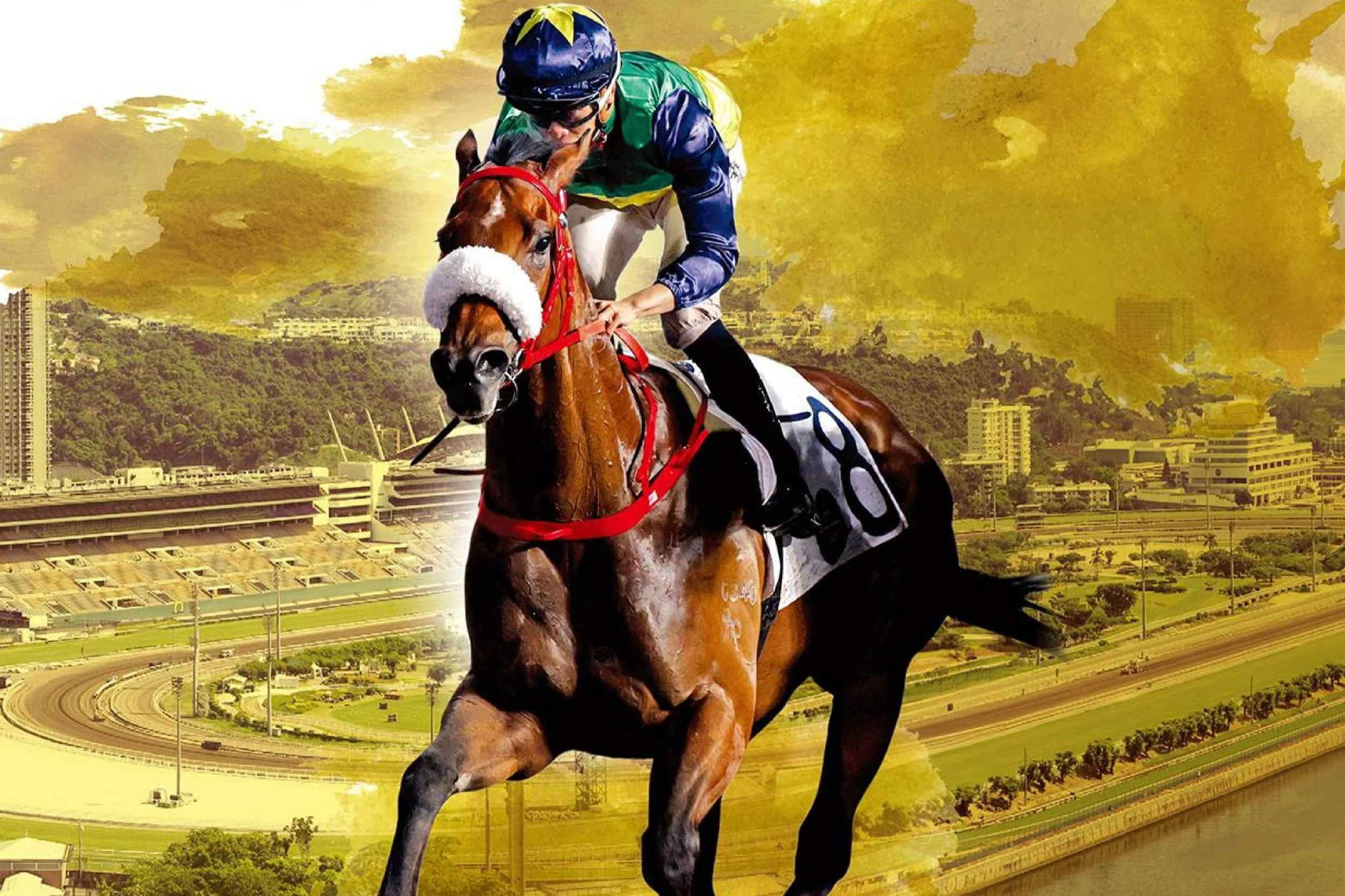 FREE PROGRAMS - Sha Tin All Weather Track (Jan 24, 2024)