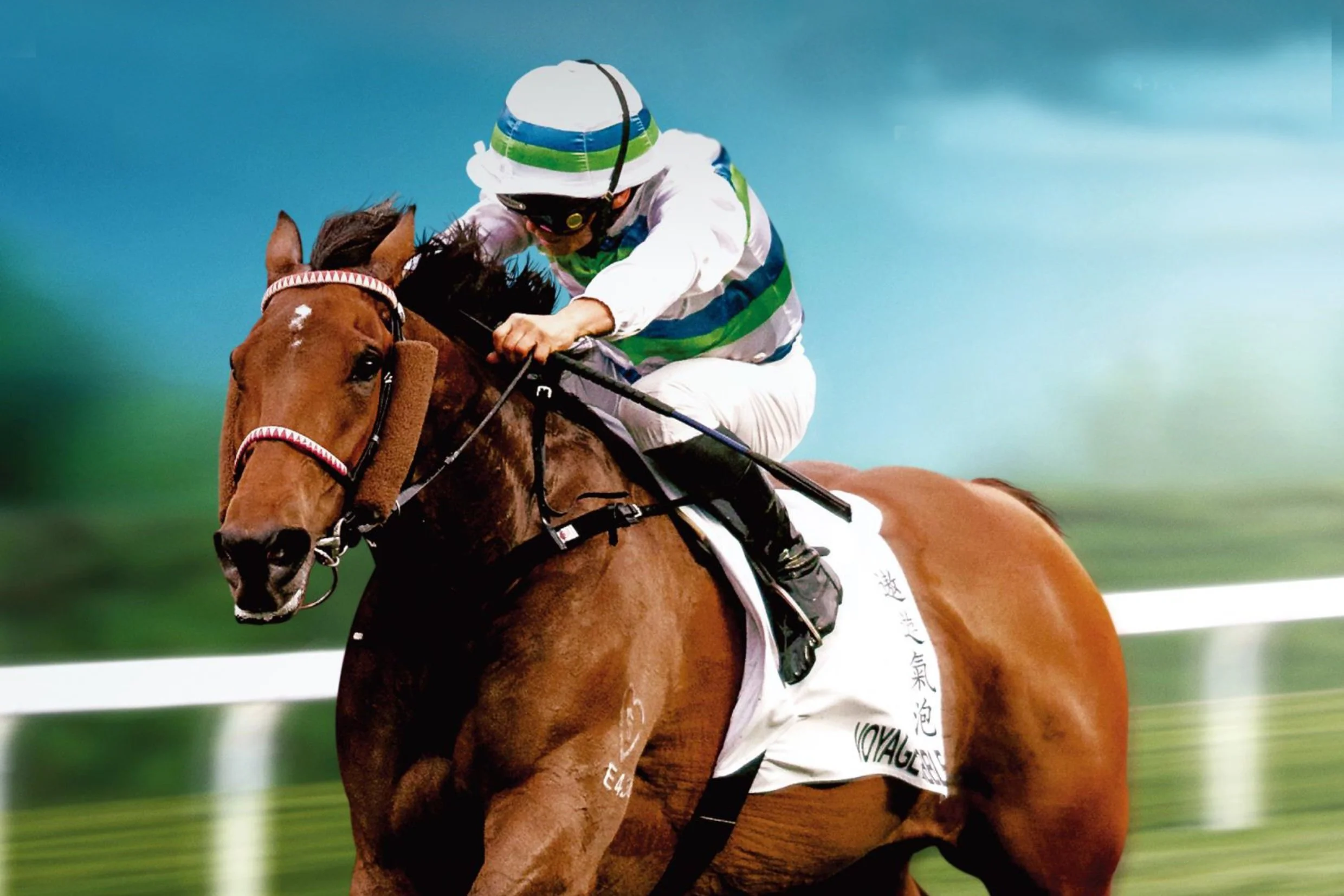FREE PROGRAMS - HK SHA TIN (Feb 3 (PT) l Feb 4 (ET), 2024)