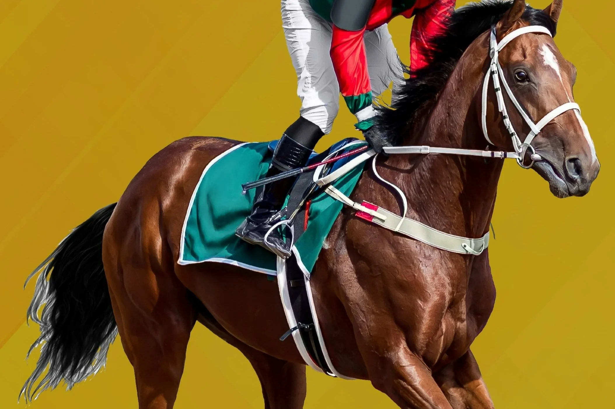 [BC BONUS WEEKEND] 3% Cash Back on eligible wagering on all tracks