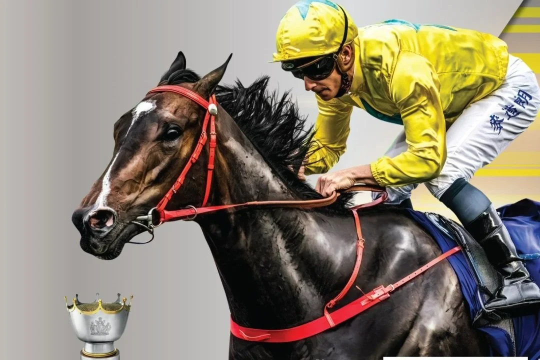 [FREE PROGRAMS] SHA TIN - March 9 (PT), 2024