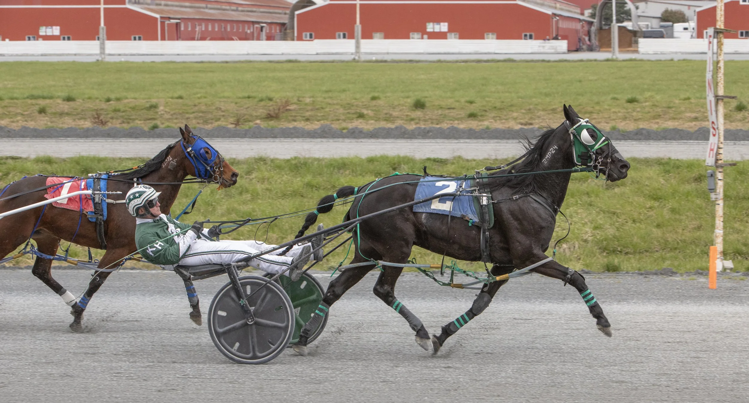 Momentum Surges at Fraser Downs: Record-Breaking Wagering Highlights 2024 Racing Meet