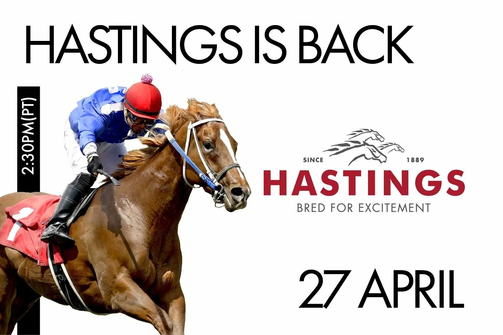THOROUGHBREDS KICK INTO GEAR  WITH APRIL 27 START AT HASTINGS RACECOURSE